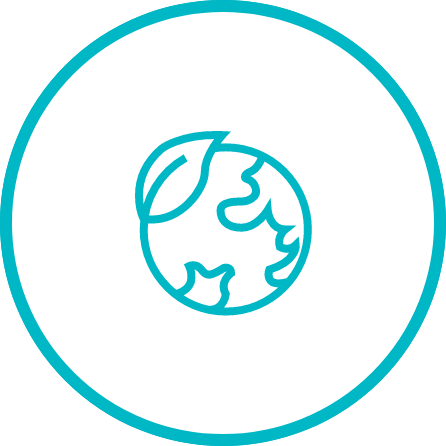 Providea carbon credit chain.