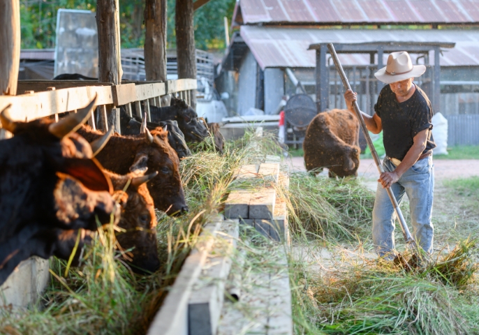 畜産業におけるメタン削減を実現し、それを経済価値として交換できる環境整備が急務です