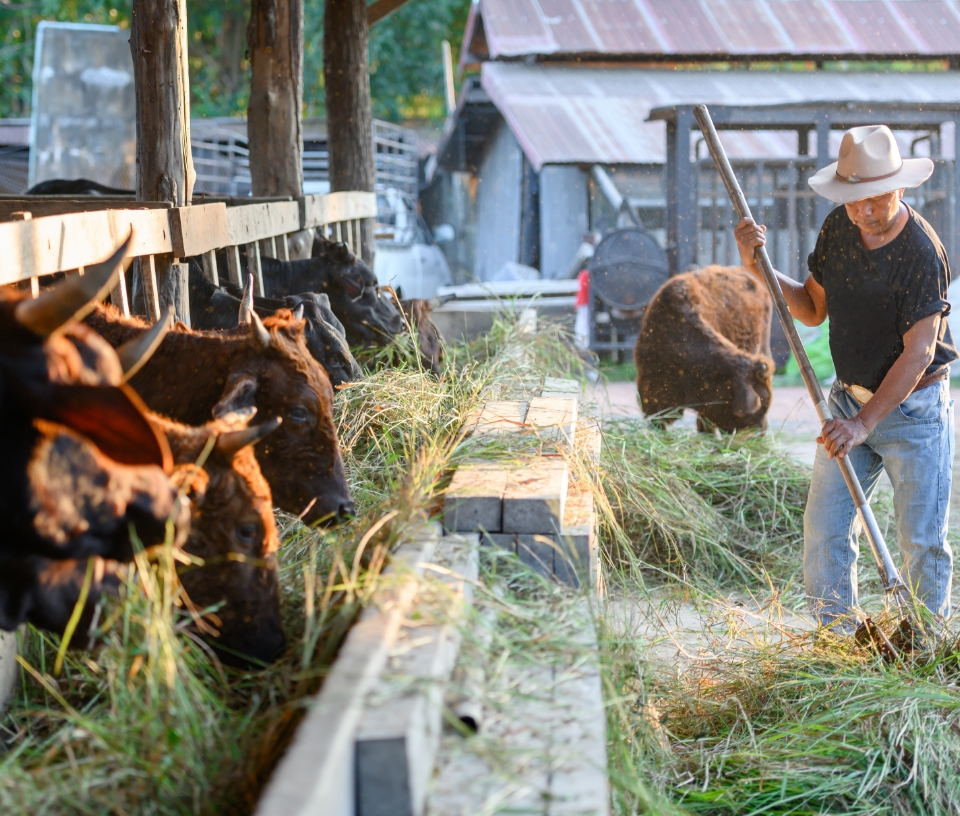 畜産業におけるメタン削減を実現し、それを経済価値として交換できる環境整備が急務です